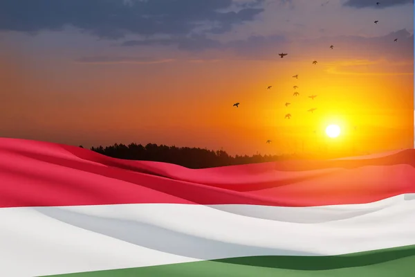 Waving Flag Hungary Sunset Sky Flying Birds Independence Day National — Zdjęcie stockowe