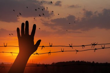 Soykırım Anma Günü. 27 Ocak, gün batımının arka planında uçan kuşlarla dikenli telli el silueti. Poster ya da afiş tasarımı.