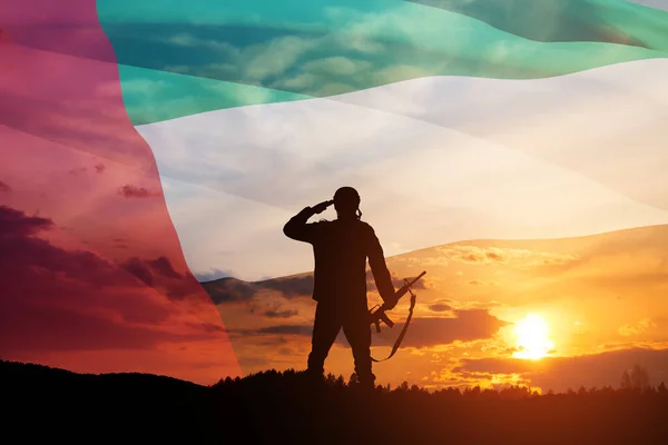 Silueta Vojáka Salutujícího Pozadí Vlajky Sae Západu Slunce Nebo Východu — Stock fotografie