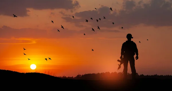 Silhouette Soldier Standing Backdrop Sunset Greeting Card Veterans Day Memorial — Foto de Stock
