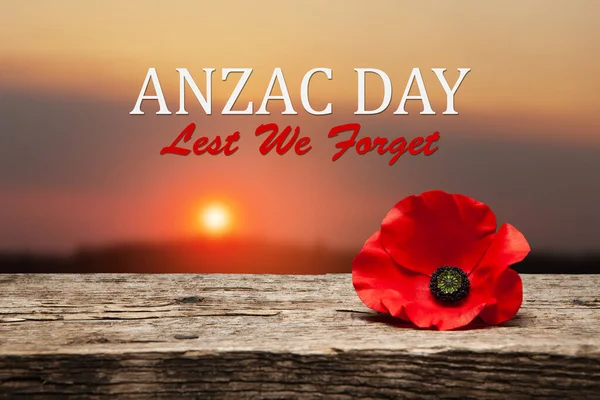 Poppy pin for Anzac Day. Poppy flower on old beautiful high grain, detailed wood on background of sunset sky. Anzac Day Lest We Forget.
