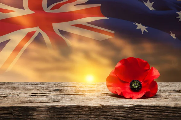 stock image Poppy pin for Anzac Day. Poppy flower on old beautiful high grain, detailed wood on background of sunset sky and transparent Australia flag. Anzac Day Lest We Forget.