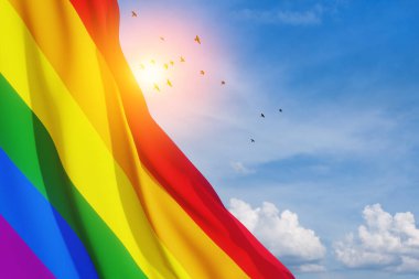 Mavi gökyüzünde LGBT gurur bayrağı sallıyordu. Uçan kuşlar, gökkuşağı bayrağı arka planı. Çok renkli barış bayrağı hareketi. Orijinal renk sembolü.