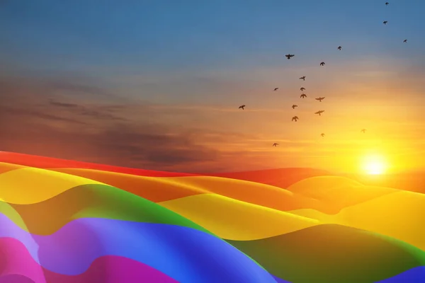 Zwaaiende Lgbt Trots Vlag Zonsondergang Hemel Met Vliegende Vogels Regenboog — Stockfoto