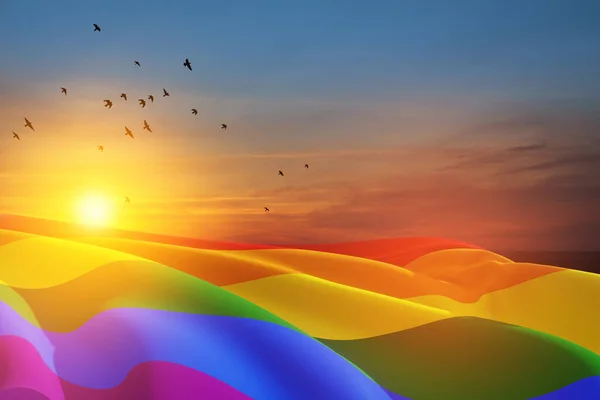 Acenando Bandeira Orgulho Lgbt Céu Por Sol Com Aves Voadoras — Fotografia de Stock