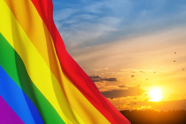 飛行鳥 虹のフラグの背景と日没の空にLgbtの誇りフラグを振って 多色の平和旗運動 オリジナルカラーシンボル — ストック写真