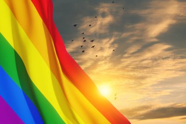 Gün batımında gökyüzünde uçan kuşlarla LGBT gurur bayrağı sallamak, gökkuşağı arka planı. Çok renkli barış bayrağı hareketi. Orijinal renk sembolü.