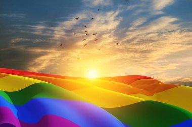 Gün batımında gökyüzünde uçan kuşlarla LGBT gurur bayrağı sallamak, gökkuşağı arka planı. Çok renkli barış bayrağı hareketi. Orijinal renk sembolü.