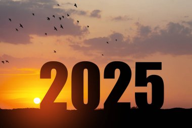 Siluet 2025, dağda gün batımı gökyüzü ve 2025 soyut arkaplan numarası. Başlangıç stratejisi, kazanma, plan, hedef ve hedef kavramı.