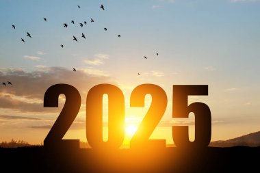 Siluet 2025, dağda gün batımı gökyüzü ve 2025 soyut arkaplan numarası. Başlangıç stratejisi, kazanma, plan, hedef ve hedef kavramı.