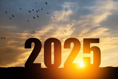 Siluet 2025, dağda gün batımı gökyüzü ve 2025 soyut arkaplan numarası. Başlangıç stratejisi, kazanma, plan, hedef ve hedef kavramı.
