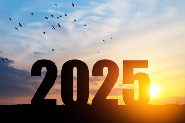 Siluet 2025, dağda gün batımı gökyüzü ve 2025 soyut arkaplan numarası. Başlangıç stratejisi, kazanma, plan, hedef ve hedef kavramı.