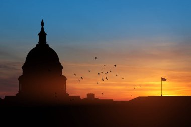 ABD Kongre Binası, gün batımında Washington DC 'de uçan kuşlarla gökyüzünün arka planında siluet inşa ediyor..