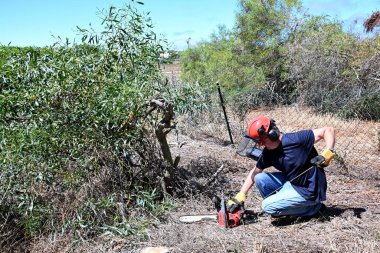 Bahçede odun kesmek için elektrikli testeresini çeken bir adam.