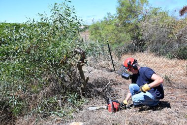 Bahçede odun kesmek için elektrikli testeresini çeken bir adam.