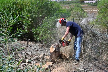 Bahçesindeki ağaç kütüğünü kesmek için elektrikli testere kullanan bir adam.