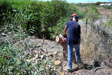 Bahçesindeki ağaç kütüğünü kesmek için elektrikli testere kullanan bir adam.