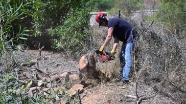 Küçük ağaçları ve çalıları temizlemek için testere kullanan bir adam.