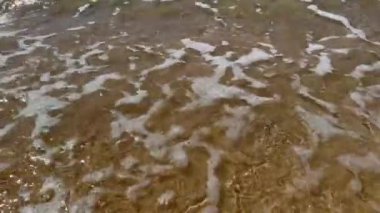 Denize yakın kumlu bir sahilde sahili turluyor.