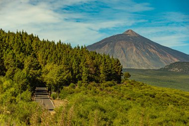 Teide volkanına giden yol. Tenerife adası, Kanarya takımadası. İspanya