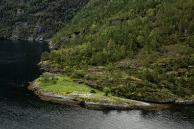 Sunnylvs Fijord 'daki Hellesylt köyünün önündeki sahil. Norveç.