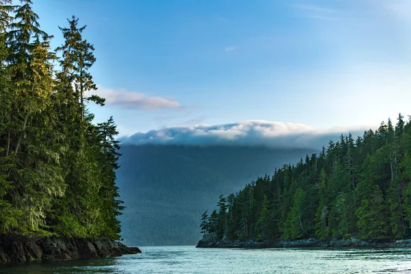Clayoquot Sound Inlet Tofino Vancouver Island Britisk Columbia Canada – stockfoto