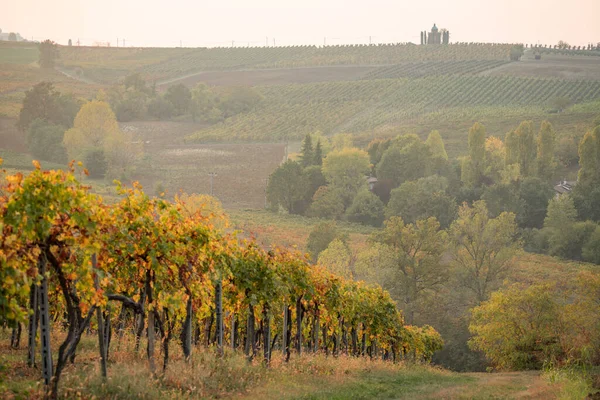 Colli Piacentini Kullar Italien Vinodlingar Och Landskap Hösten Italien — Stockfoto