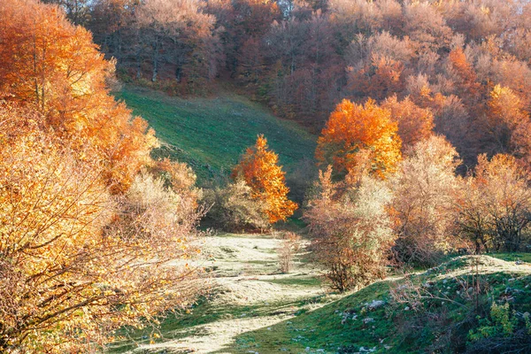 Colorful Autumn Foliage Parco Nazionale Abruzzo Italy Landscape — Stock Photo, Image