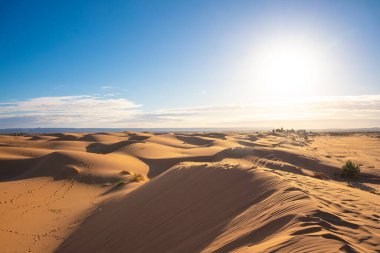 A view of desert dunes at sunset. Beautiful sand dunes in the Sahara desert at Morocco.