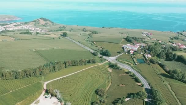 Terrasses Verdoyantes Cha Gorreana Plantation Thé Açores Vue Sur Drone — Video