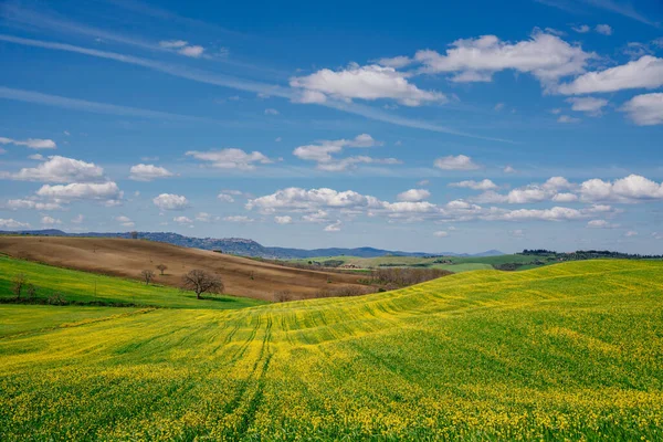 Paesaggio Primaverile Della Toscana Val Dorcia — Foto Stock