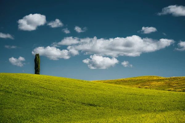 Spring Landscape Tuscany Italy Val Dorcia — Stock Photo, Image
