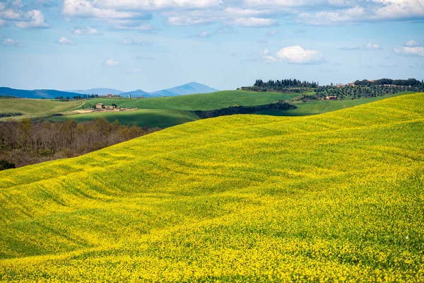Jarní Krajina Toskánska Itálie Val Dorcia — Stock fotografie