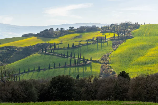 Toskánsko Zelená Krajina Jaře Itálie Cypřišové Stromy Větrná Cesta — Stock fotografie