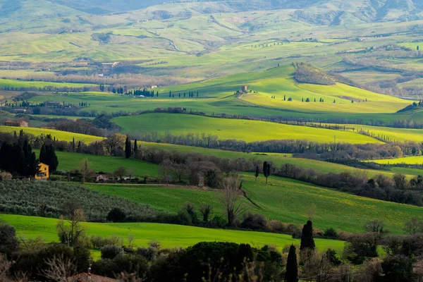 Тоскана Зеленый Пейзаж Весной Италия Кипарисы Ветреная Дорога — стоковое фото