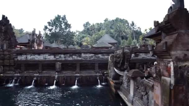 Март 2020 Купание Храме Тирта Эмпул Бали Индонезия Людей — стоковое видео