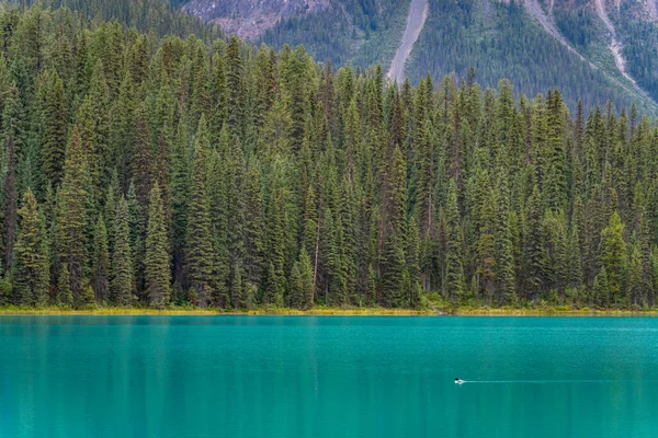 Emerald Lake Canadá Columbia Británica Parque Nacional Yoho —  Fotos de Stock