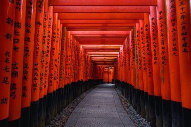Japonya 'nın Kyoto kentindeki Fushimi Inari türbesindeki Red Torii kapıları. Aydınlanmış