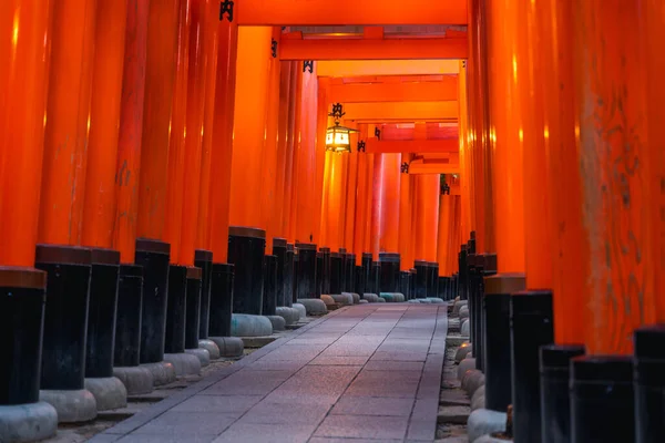 Røde Porter Fushimi Inari Helligdom Kyoto Japan Opplyst – stockfoto