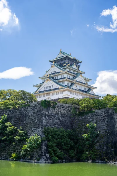 Osaka Slott Blå Himmel Sommerblader Japansk – stockfoto