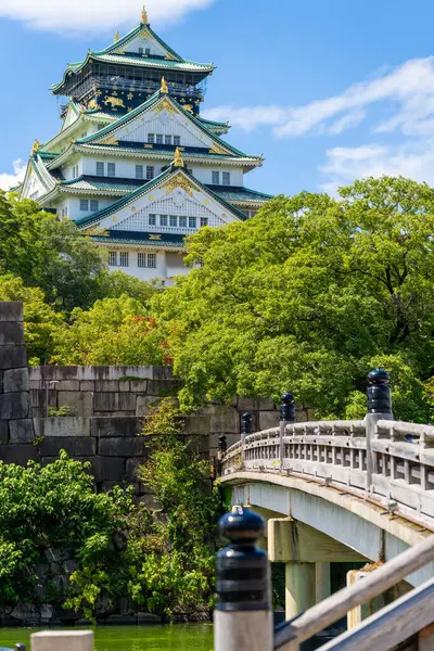 Osakan Linna Sininen Taivas Kesälehdet Japani — kuvapankkivalokuva