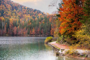 Sonbahar renklerinde güzel Fusine gölleri. Friuli Venezia Giulia, İtalya