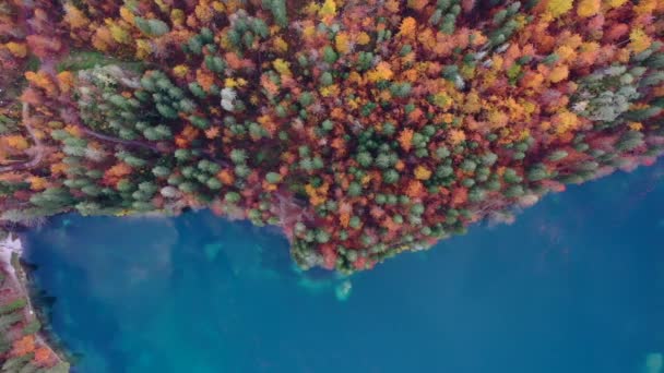 秋天森林里美丽的蓝湖 空中风景 意大利Fusine — 图库视频影像