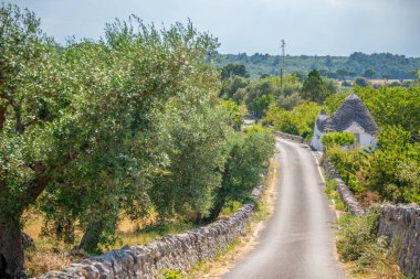 Puglia yolu. Zeytin ağaçları ve Trulli tipik evleri arasındaki yol. İtalya