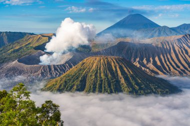 Doğu Java, Endonezya 'da gün doğumunda Bromo Dağı volkanı.