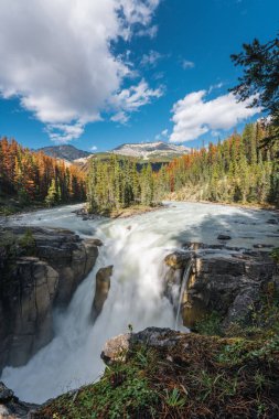 Sunwapta 'nın Jasper Ulusal Parkı, Alberta, Kanada' daki muhteşem manzarası..