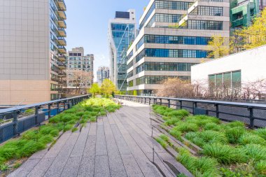 New York 'taki High Line, yüksek şehir parkı geçidi, modern binalar ve yemyeşil alanlar.. 