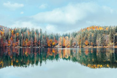 Sonbahar ormanının göldeki yansıması. Fusine, Friuli, İtalya
