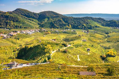 Valdobbiadene, Prosecco beyaz şarap yolu boyunca tepeler ve üzüm bağları. Veneto, İtalya