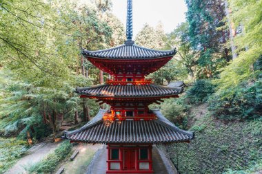 Gansen-ji temple, pagoda and garden near Kyoto, Japan. Summer green vegetation  clipart